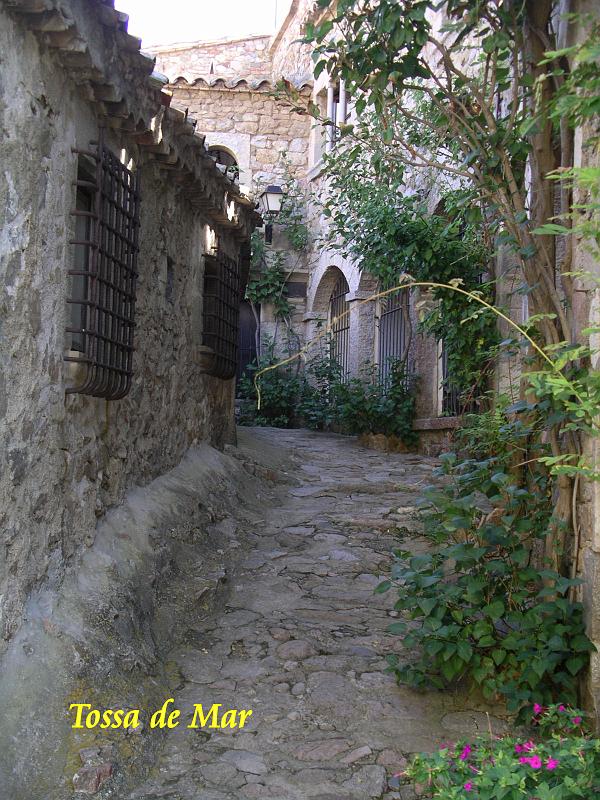 Andalusie 2008 428.jpg
